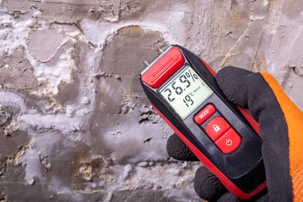 Attic Mold Removal in Alexander, AR