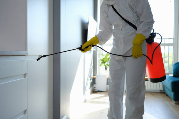 Best Mold Testing and Removal  in Alexander, AR