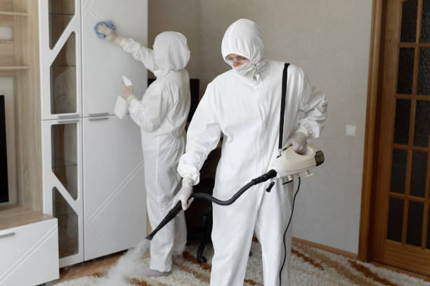 Mold Testing and Removal in Alexander, AR