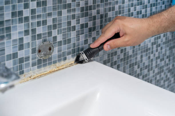 Best Mold Removal Company Near Me  in Alexander, AR